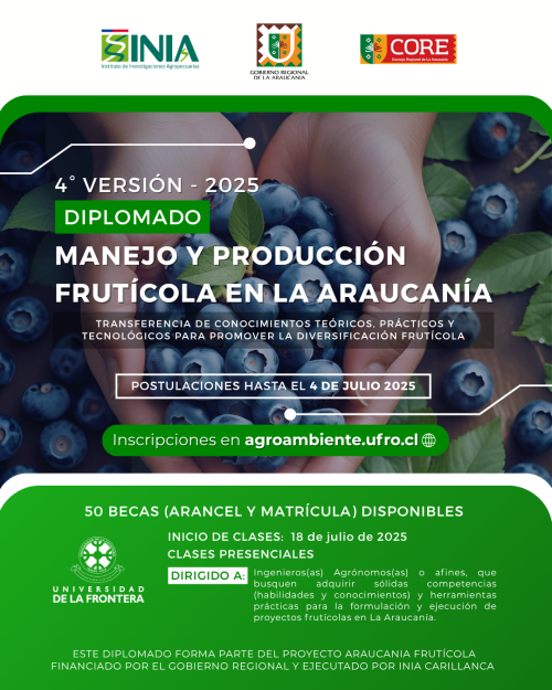 DIPLOMADO (1)