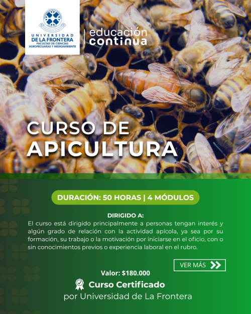 EDUCACION CONTINUA (11) (1)